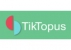 TikTopus